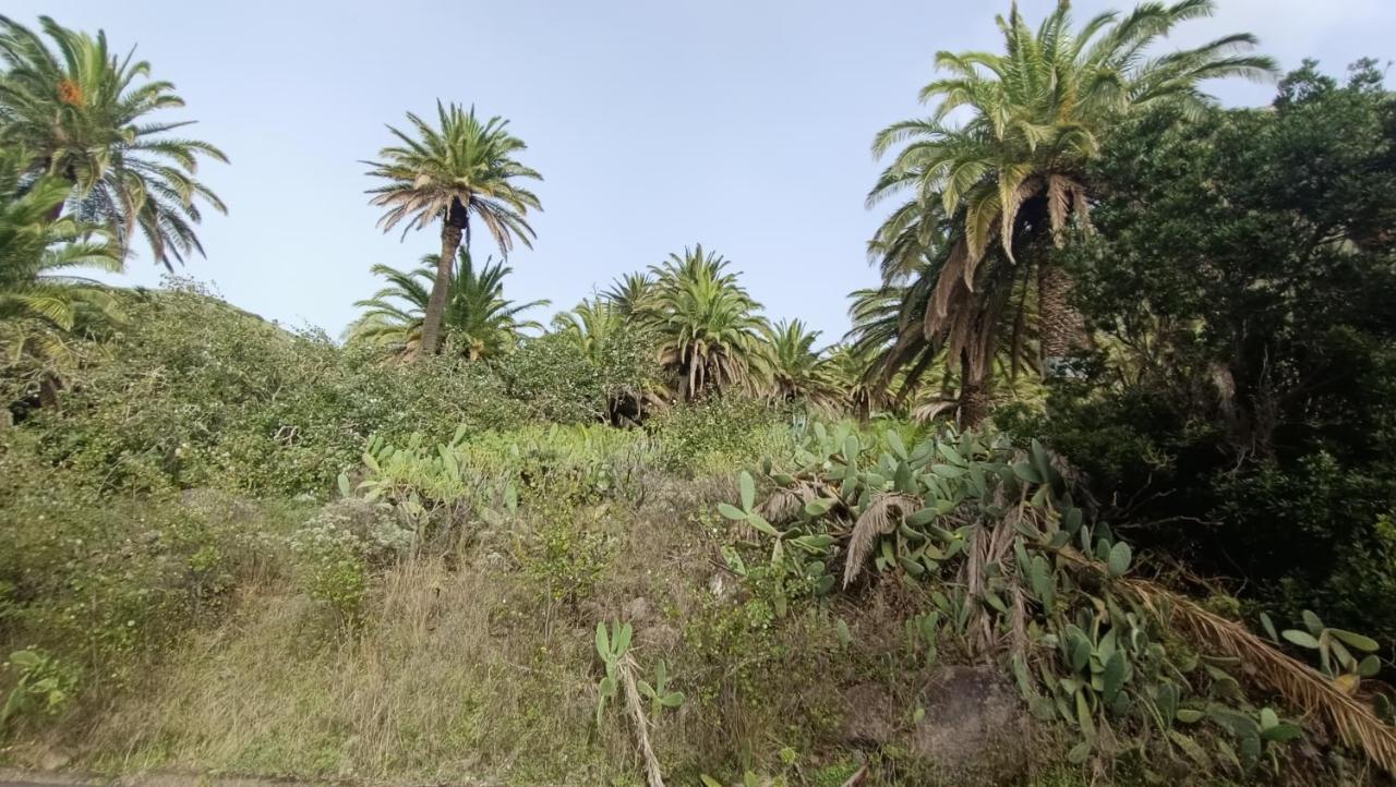 Alquilaencanarias Casa La Playa La Gomera Alojera Exteriör bild